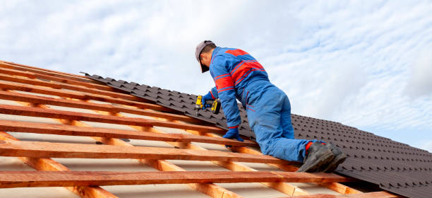 Best Roof Maintenance and Cleaning  in St Elmo, IL
