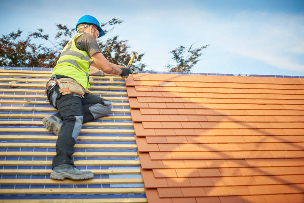 Best Roof Moss and Algae Removal  in St Elmo, IL